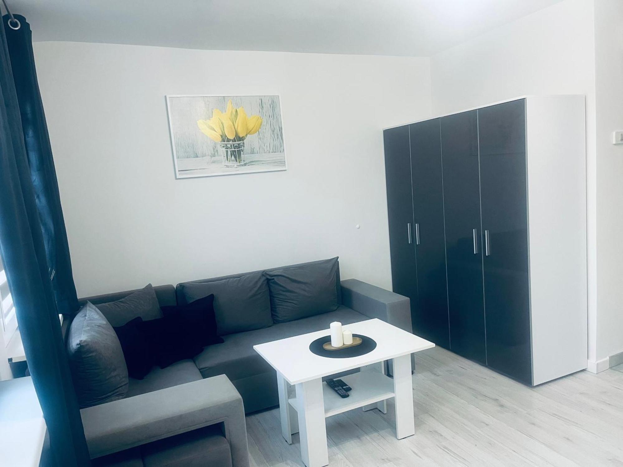 Silver Apartament Katowice Esterno foto